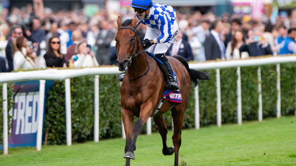 Melbourne Cup weights revealed for Joseph O’Brien’s team of 11