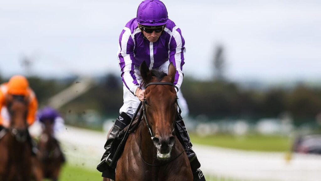 Aidan O’Brien lauds ‘freakish’ Sun Goddess following Moyglare triumph