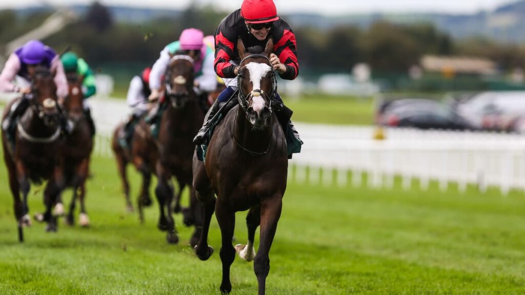 Folsom Blues a ‘special’ homebred winner for Al Shira’aa Racing