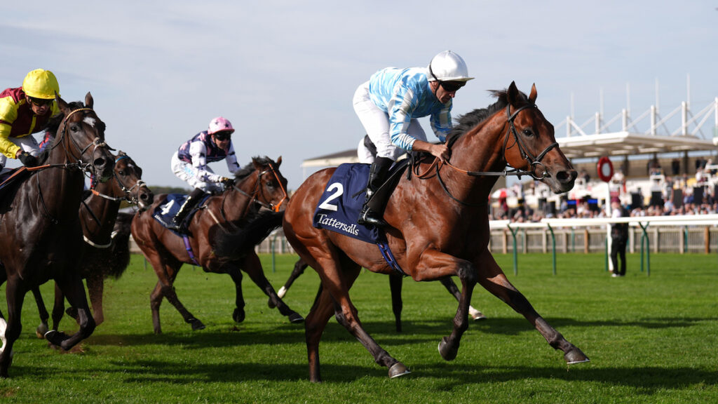 Racing news today: Fuel The Jet wins Tattersalls Stakes as Newmarket returns – Friday 25 September