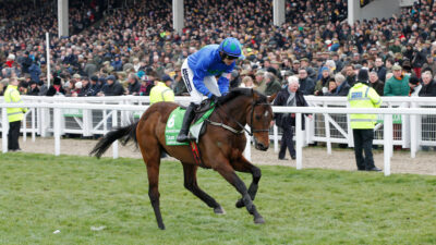 Hurricane Fly dies aged 22