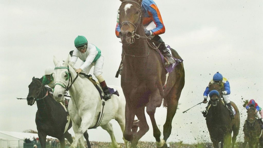 High Chaparral, Arlington, 2002 Breeders' Cup Turf