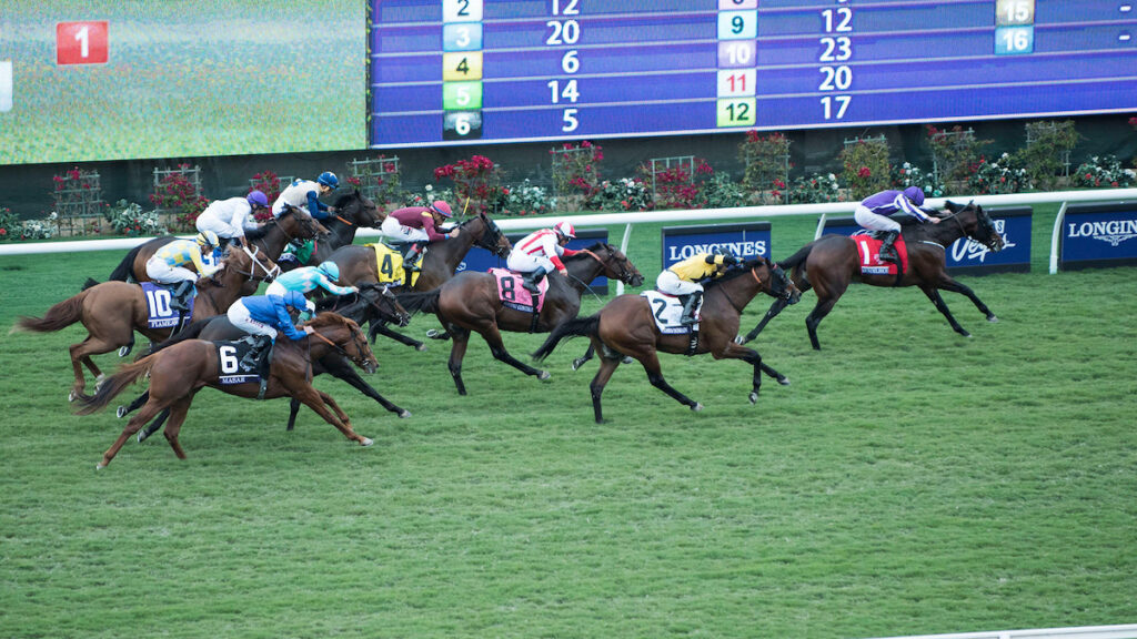 Mendelssohn, 2017 Breeders' Cup Juvenile Turf, Del Mar