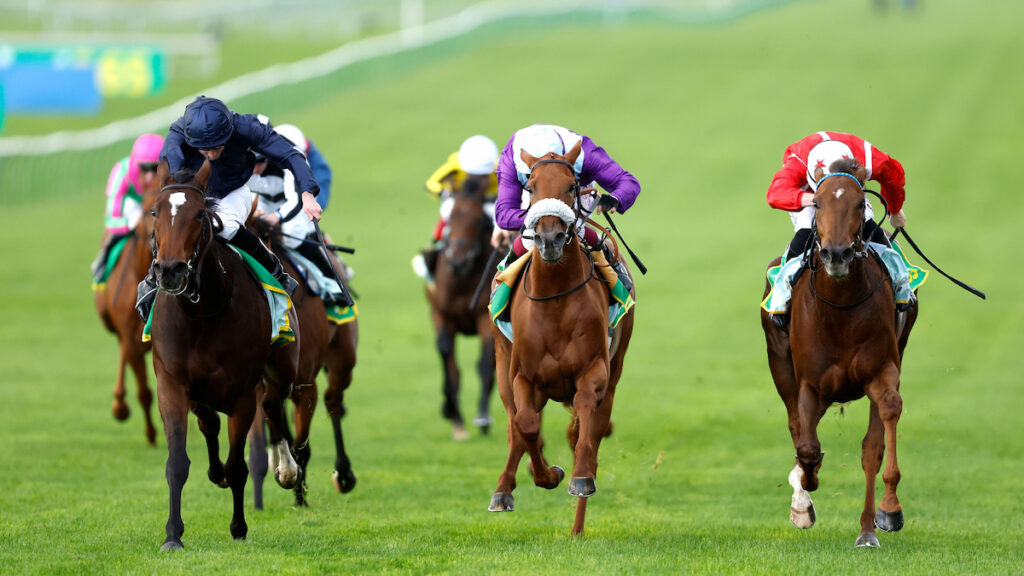 Tattersalls Book 1 day two: Coolmore go to 4 million guineas for Frankel brother to Ylang Ylang