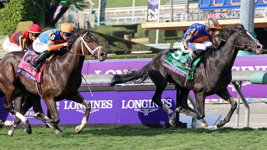 Auguste Rodin, Breeders' Cup Turf 2023, Santa Anita