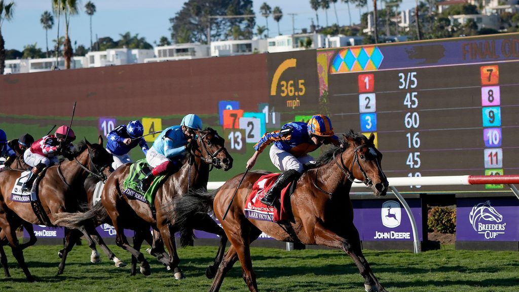Lake Victoria, Breeders' Cup Juvenile Fillies' Turf 2024, Del Mar