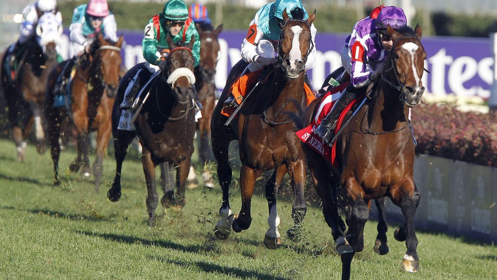 St Nicholas Abbey, Churchill Downs, 2011 Breeders' Cup Turf