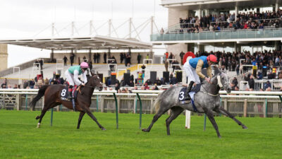 Andrew’s Angles – Analysis of Ascot & Newmarket’s weekend cards