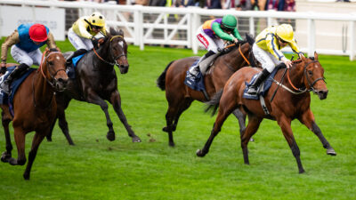 Champions Day Trends – Dave Young’s analysis of flat season finale