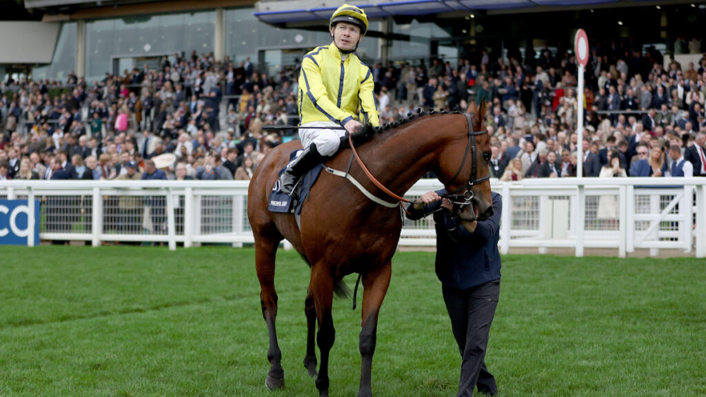 Five of the biggest upsets on Champions Day - Matthew Sutcliffe ranks his greatest shocks at Ascot