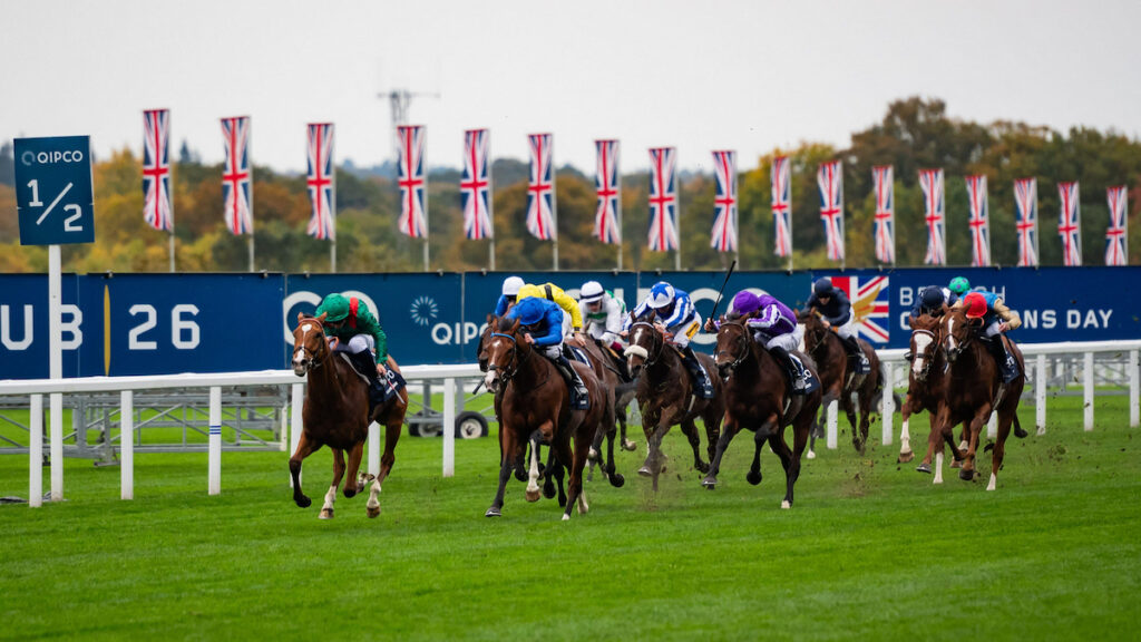 Champions Day pace analysis: why it pays to be handy at Ascot – and the two races where it doesn't