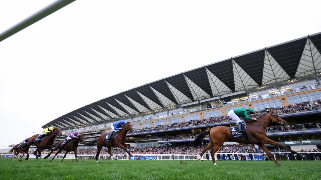 Champion Stakes runners 2026: Racing’s powerhouses lock horns in mouthwatering clash