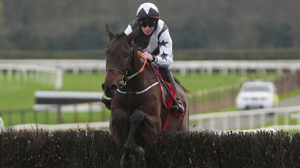 Romeo Coolio: everything you need to know about Gordon Elliott's Down Royal Champion Chase contender