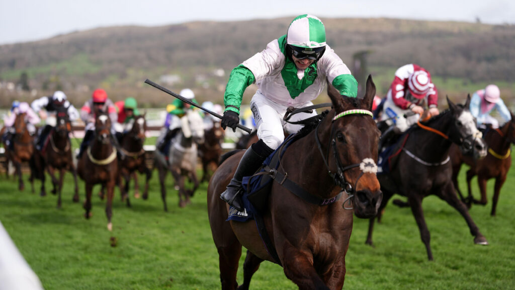 Panoramic Hurdle result: Wilful digs deep to land Listed prize at Carlisle
