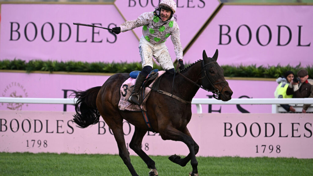 Five to follow: Willie Mullins' assistant David Casey picks his horses for the jumps season