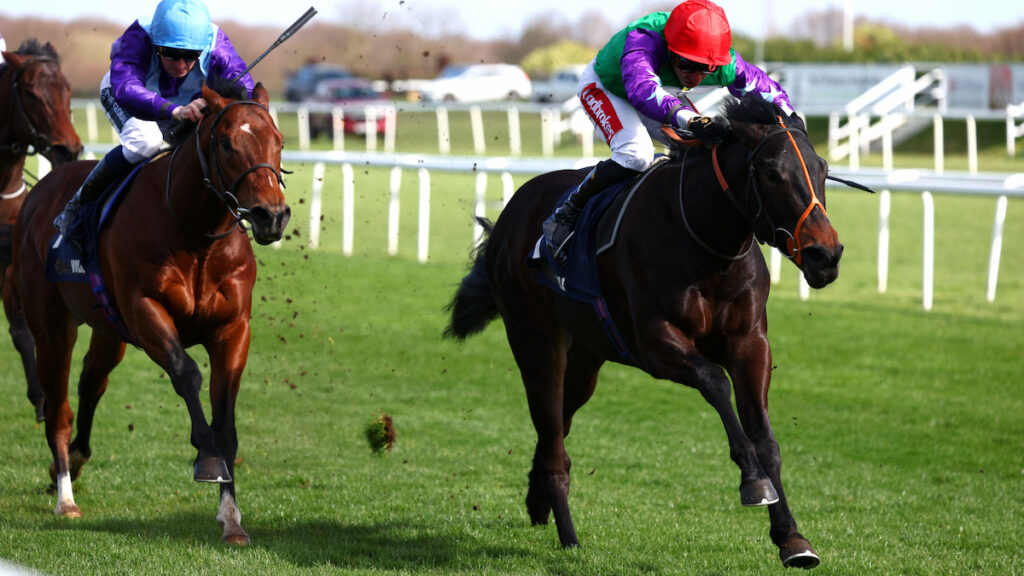 A Bear Affair wins Joan Snow Memorial Conditions Stakes at Salisbury