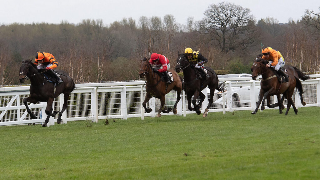 Ascot & Wetherby preview - Four to watch from Matty Sutcliffe on Saturday 31st October