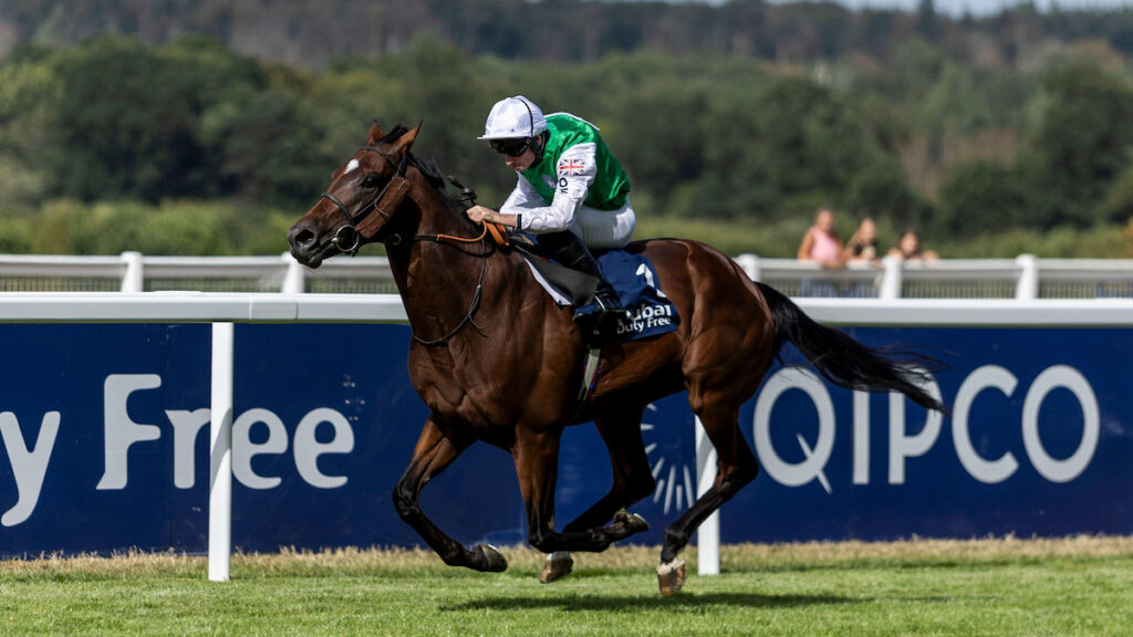 Newmarket preview: Joe Napier on the Fillies' Mile and Friday's Future Champions card – 9 October 2026