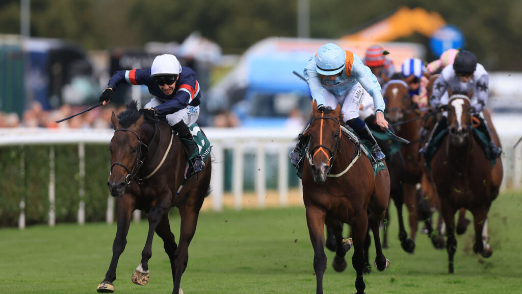 Night In Vegas bidding for a sales race hat-trick