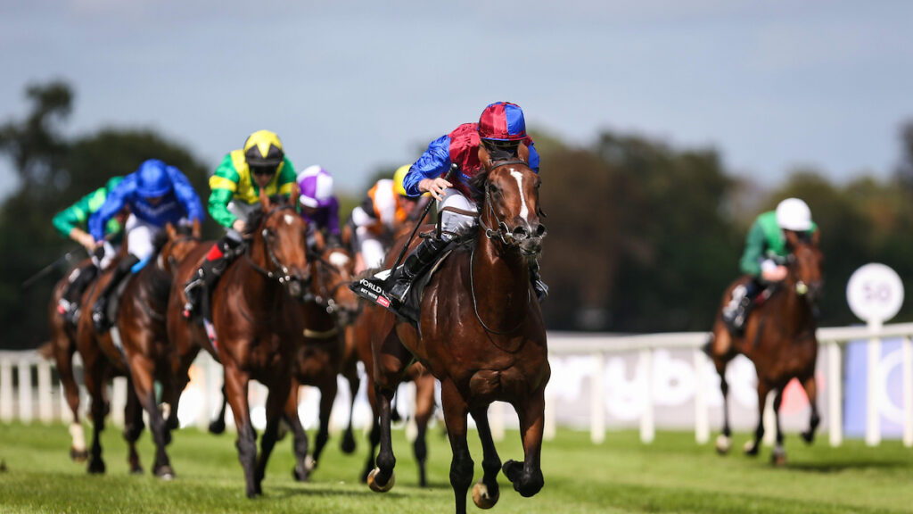 Racing news today: Newmarket and Chepstow's weekend meetings – Tuesday 6 October 2026