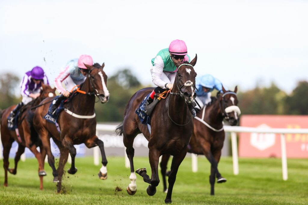 Sun Chariot Stakes preview 2026: Blue Bolt bids to go one better on the Rowley Mile