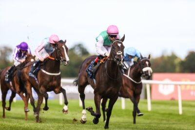 Sun Chariot Stakes preview 2026: Blue Bolt bids to go one better on the Rowley Mile