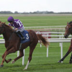 Futurity Trophy preview 2026: Noble Exhibit leads Ballydoyle trio in final Group 1 of the Flat season