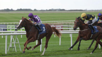 17 entered for the William Hill Futurity Trophy – Aidan O’Brien fields 11