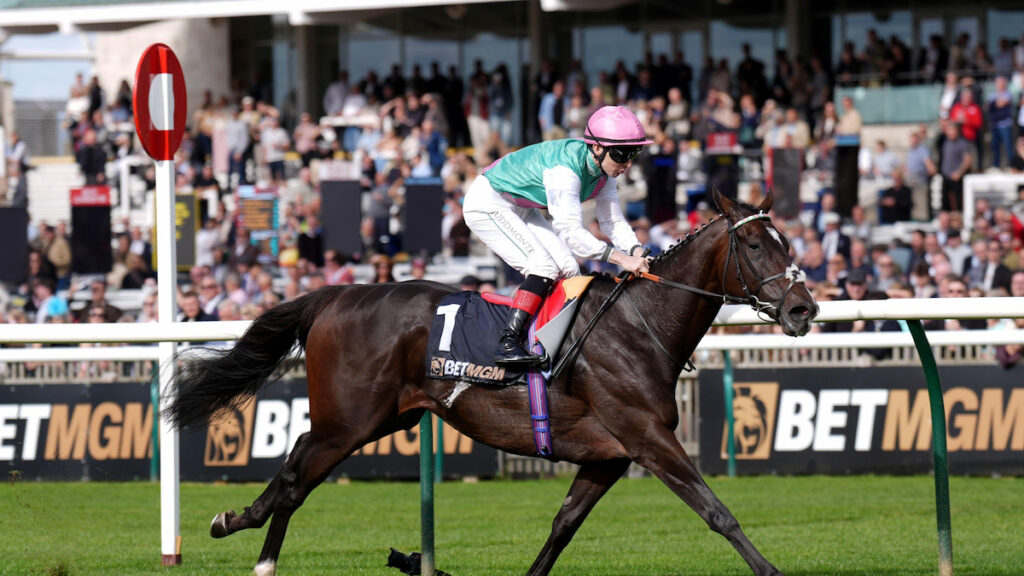 Trainers' title race 2026: Andrew Balding and Aidan O'Brien set for photo finish