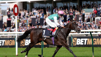 Cartier Horse of the Year standings: Blue Bolt hits the top as Daryz closes after Arc double