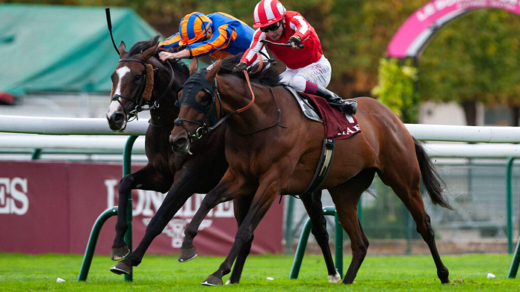 Long Distance Cup preview 2026: Scandinavia's absence throws Ascot's staying showpiece wide open