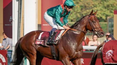 Daryz retired: dual Arc hero heads to stud with Aga Khan Studs