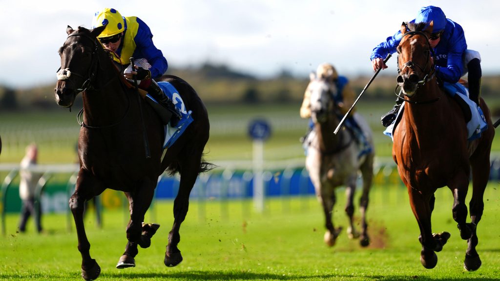 Never So Brave, Challenge Stakes, Newmarket