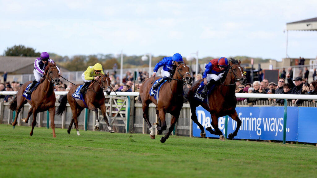 Dewhurst result: Darkness Falls edges Desert Castle in a Newmarket thriller as O'Brien dreams of the Triple Crown