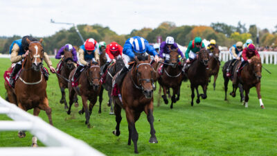 Did the 2026 British Champions Day live up to its namesake?