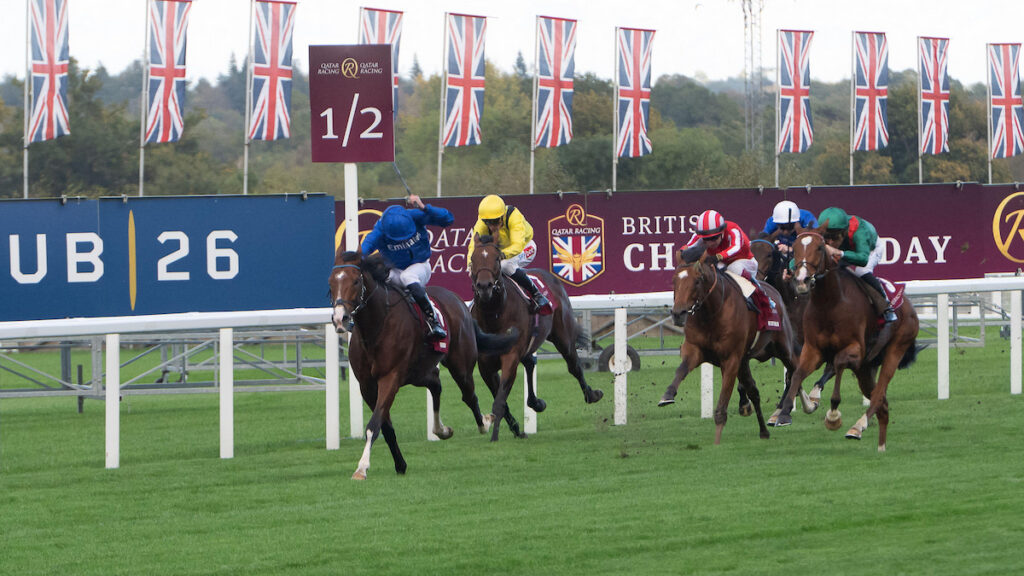 Racing news today: Ombudsman's Breeders' Cup call, Come What May impresses & Kings Hill lands Munster National – Monday 19 October 2026