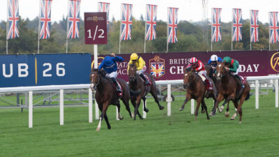 Cartier Horse of the Year standings: Blue Bolt holds on as Ombudsman and Almeraq strike on Champions Day