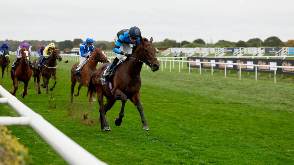 Racing news today: Giant Sequoia puts O'Brien on the brink of title, Saint-Cloud double & Constitution Hill fifth in Milan – Monday 26 October 2026
