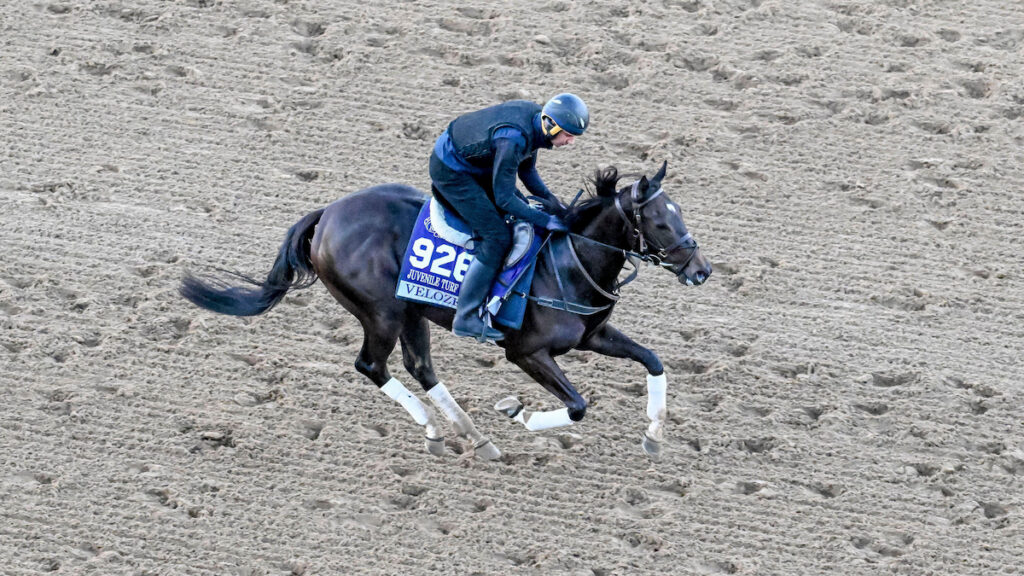 Breeders’ Cup preview - Four to watch from Matty Sutcliffe on Friday 30th October