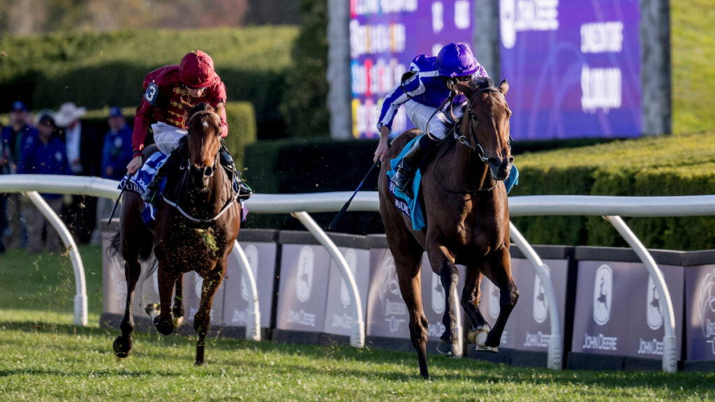 Breeders’ Cup results: Sun Goddess and Haffner hand O’Brien record as Libertango strikes for Boughey