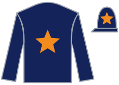 Dark Saffron silks