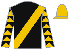 Gimme A Nother silks