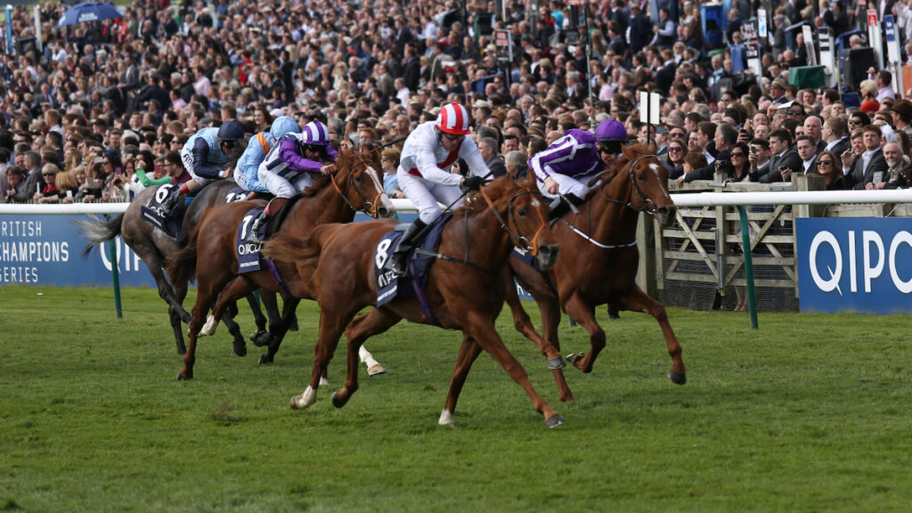 Racing news today: record-breaking Tattersalls, Cheltenham ready to return & Fillies' Mile build-up – Wednesday 7 October