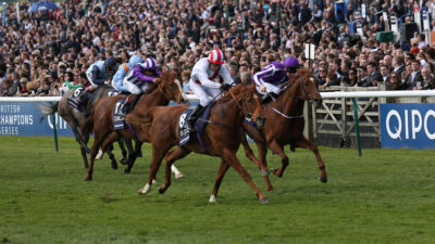 Racing news today: record-breaking Tattersalls, Cheltenham ready to return & Fillies’ Mile build-up – Wednesday 7 October