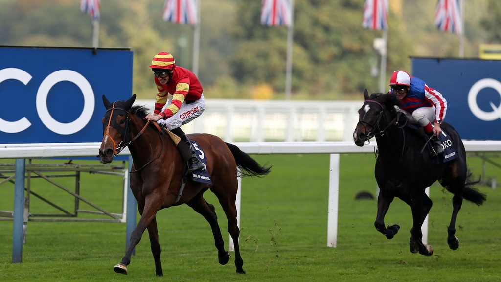 Seal Of Approval, Ascot