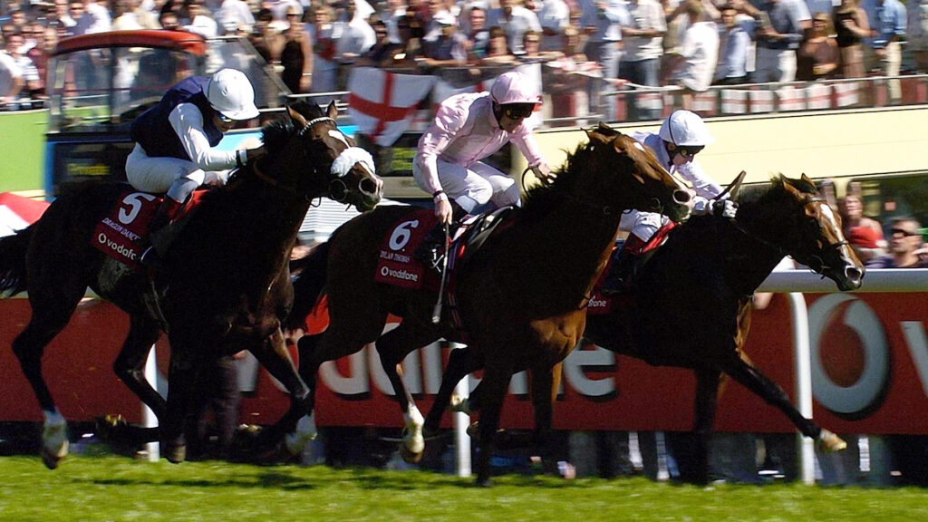 Andrew’s Angles - Jumps sires to follow on fast ground