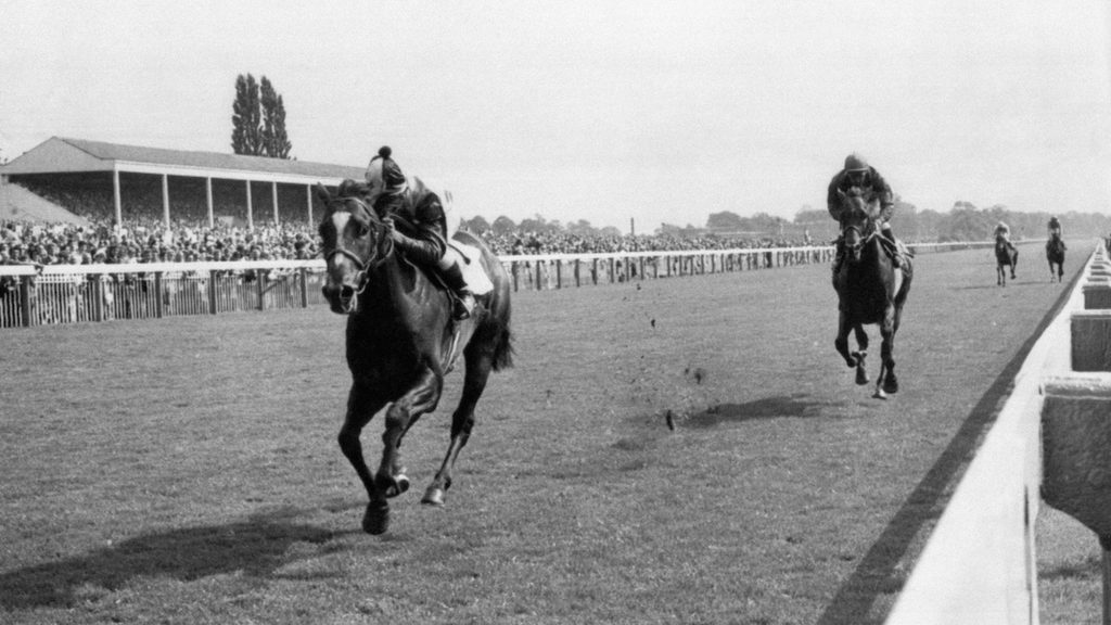 Roberto, Brigadier Gerard, Juddmonte International 1972, York