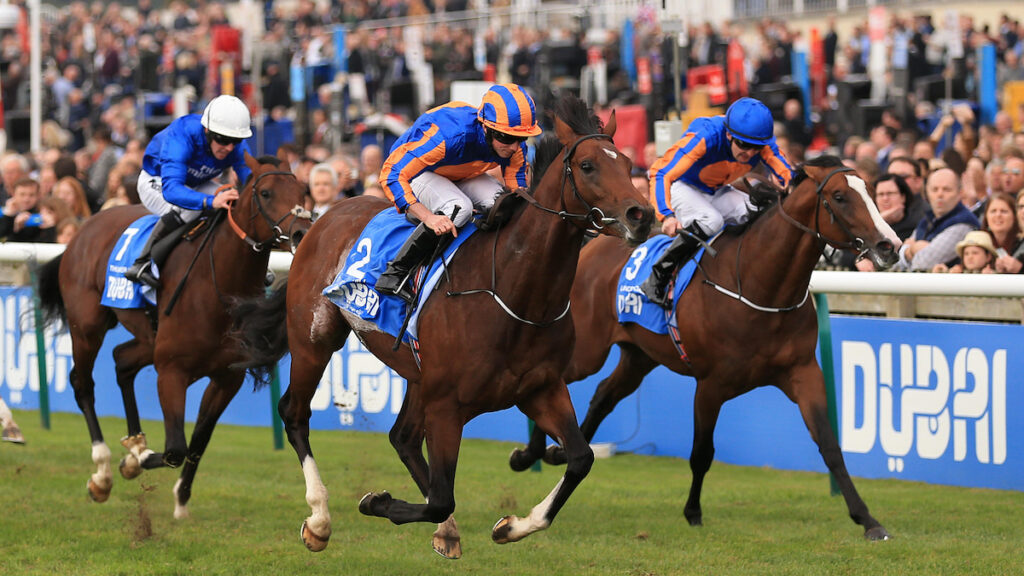 Ranking the last 10 Dewhurst Winners: Matthew Sutcliffe on Newmarket's juvenile Group 1 heroes